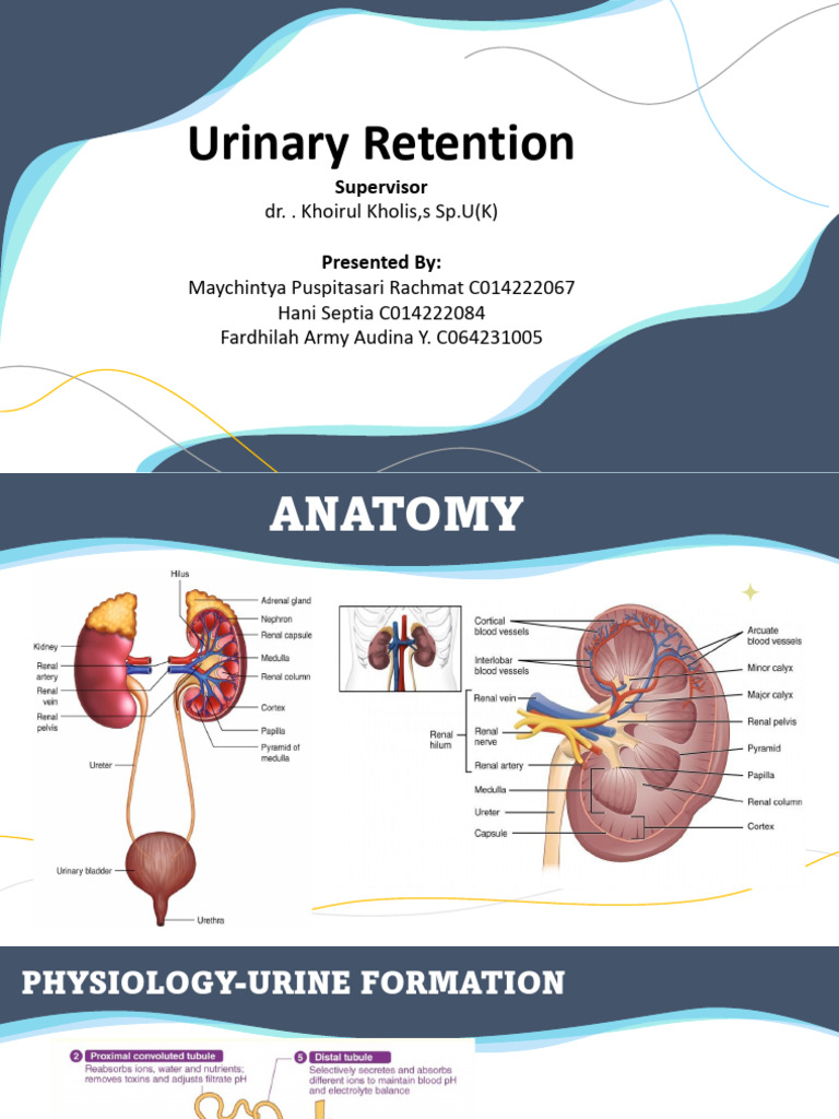 Urinary Rentention Pdf
