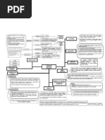 Direito Constitucional - Mapa Mental Ordem Social