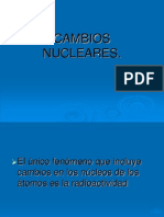 CAMBIOS NUCLEARES
