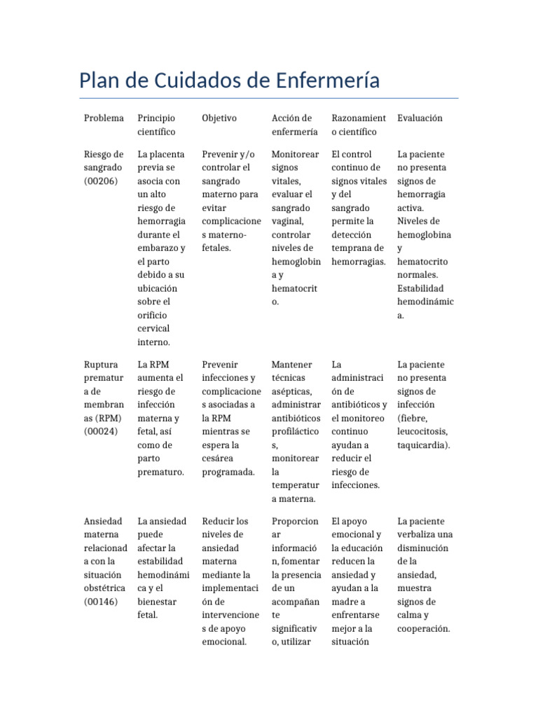 Plan de Cuidados Enfermeria | PDF