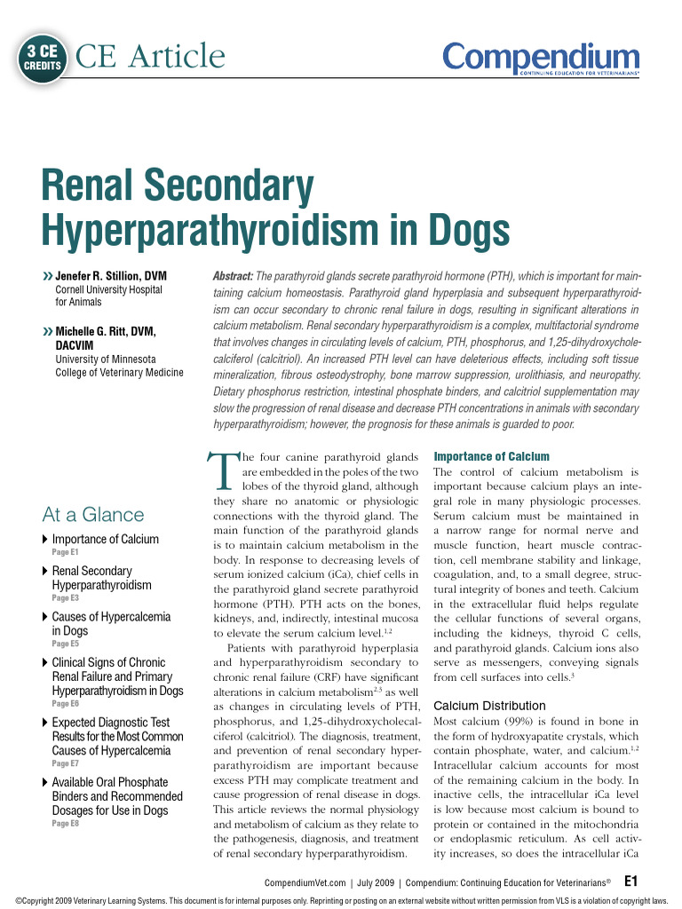 Illustration of Can Dogs Have Multiple Hyperparathyroidism Diagnosed Eating