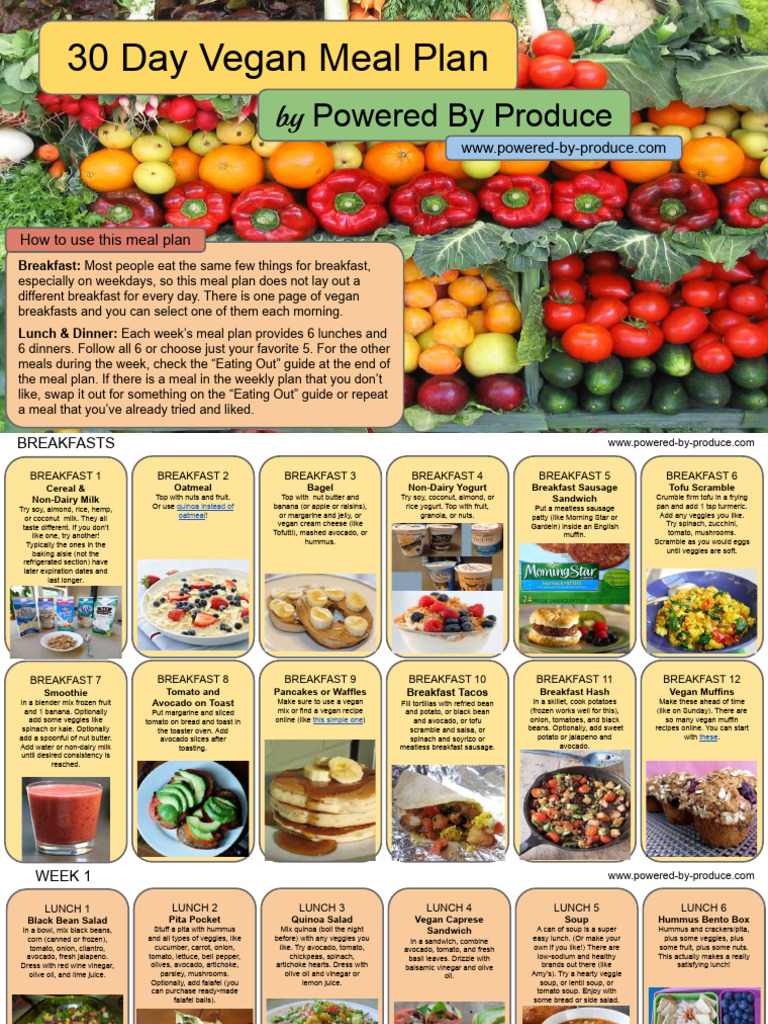 1 Month Vegan Meal Plan | PDF