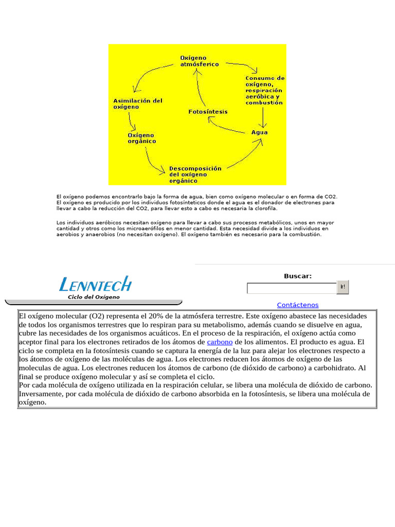 Ingenieria de La Informacion | PDF
