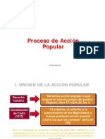 Accion Popular - Expo