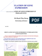 6-Regulation of Gene Expression in Prokaryotes - Copy