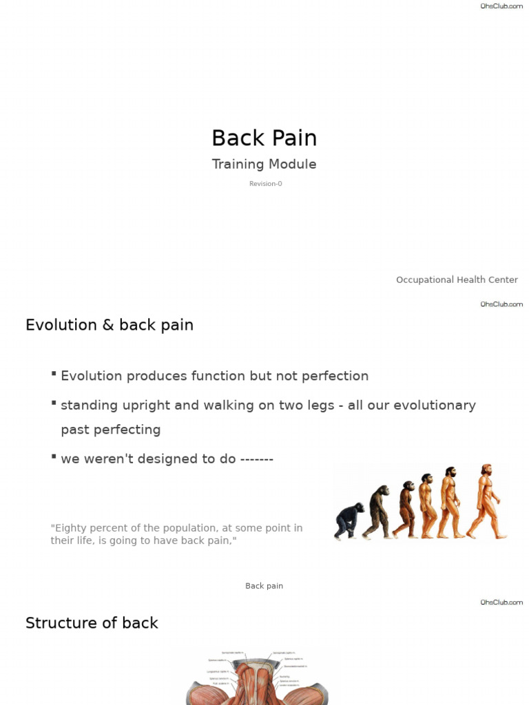 Understanding Back Pain Causes & Prevention | PDF | Back Pain ...