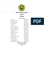 Resume 7-A1 2009