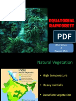 Equatorial Rain Forest