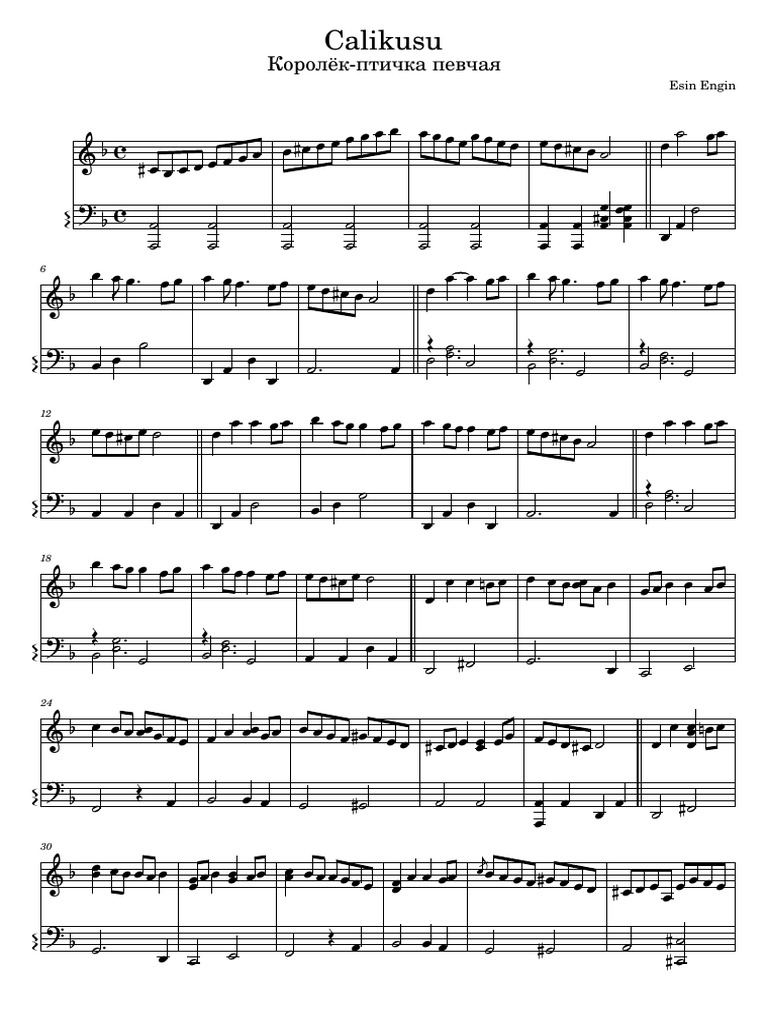 Calikusu | PDF
