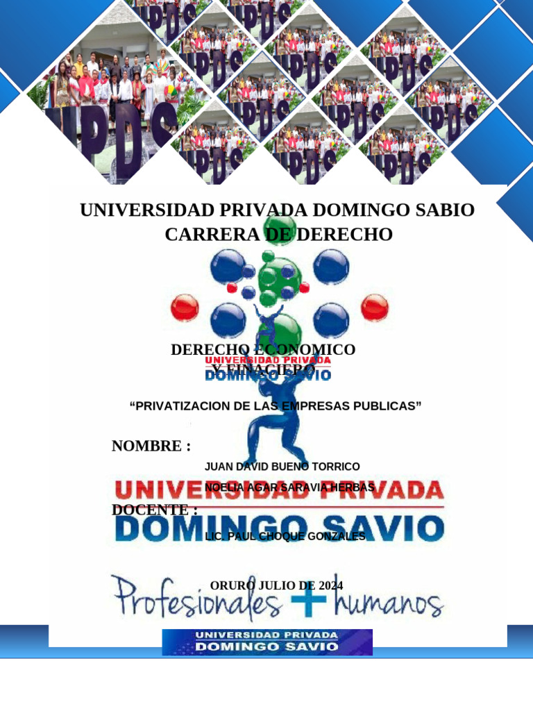 Privatizacion de Las Empresas Publicas | PDF