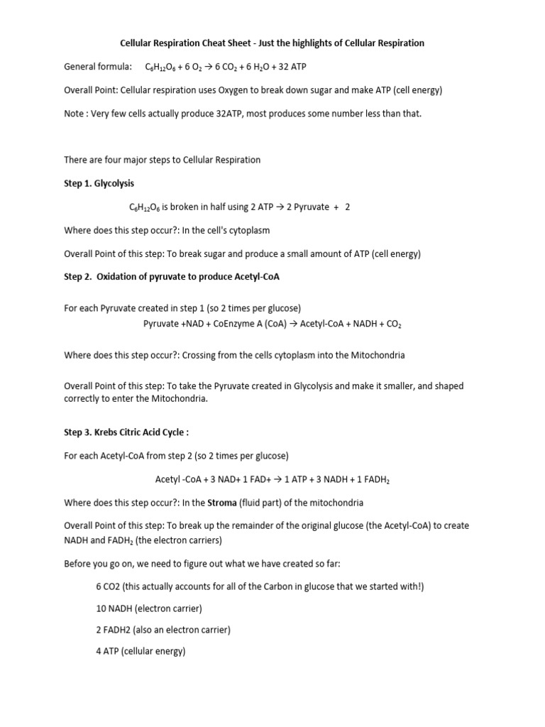Cellular Respiration Cheat Sheet | PDF