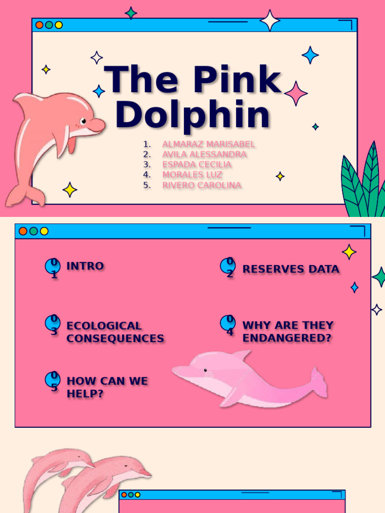 Dolphin | PDF