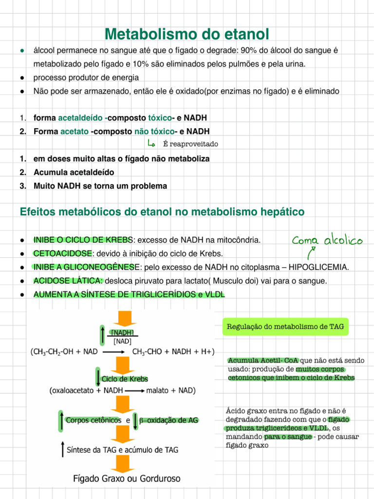 Metabolismo Do Etanol | PDF