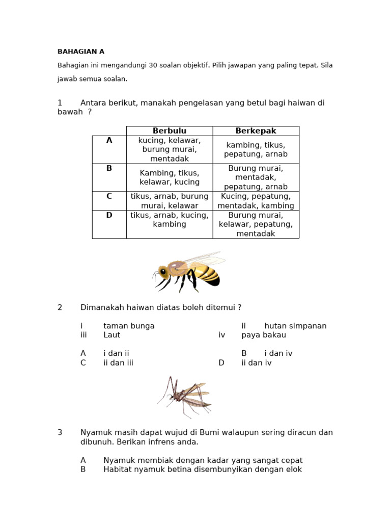 Set SN 4 | PDF