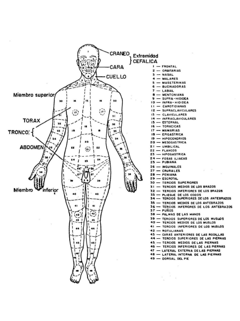 Lesionologia - Pongale La Cola Al Burro | PDF