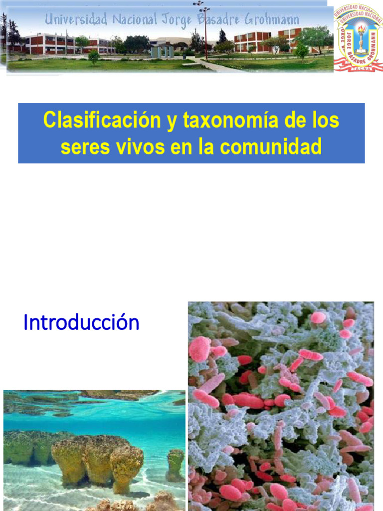 T16 Taxonomia De Los Seres Vivos Pdf