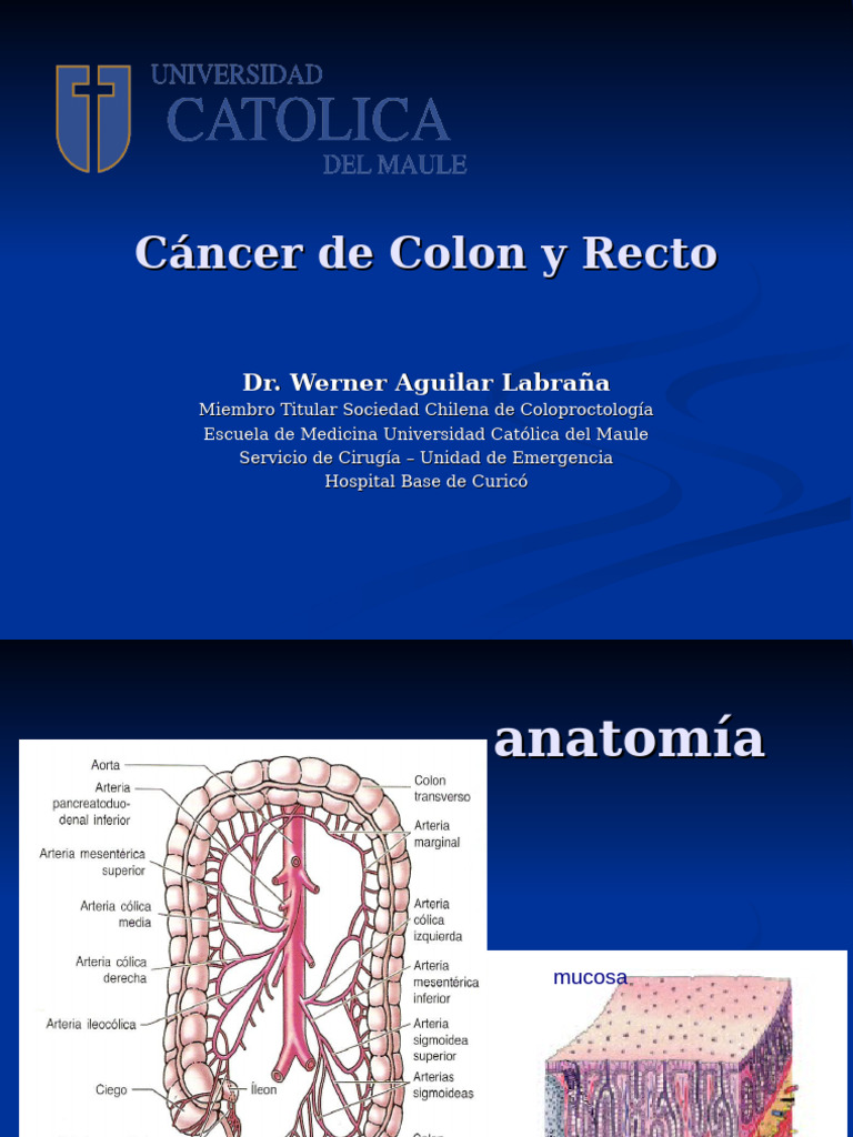 Cáncer Colorrectal | PDF