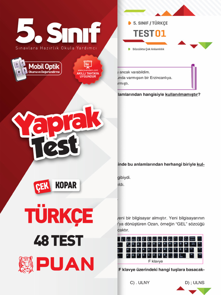 Sınıf Türkçe Yaprak Test | PDF