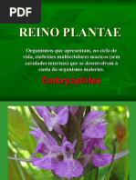 REINO PLANTAE