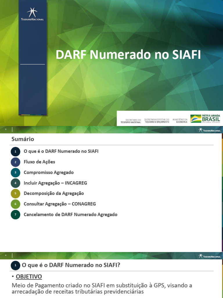 Apresentação STN - DARF Numerado No SIAFI | PDF