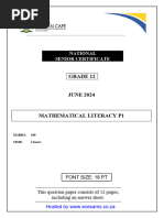 2025 Maths Lit GRD 11 Term 2 Assignment | PDF | Economies