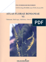 Atlas Florae Romaniae VI