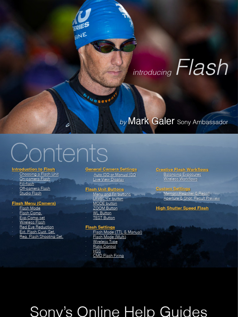 Flash Ebook | PDF