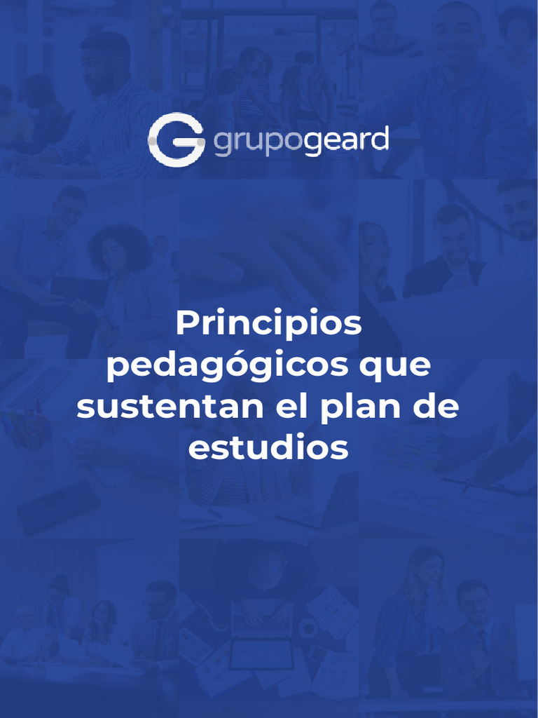 Principios Pedagógicos Que Sustentan El Plan de Estudios | PDF