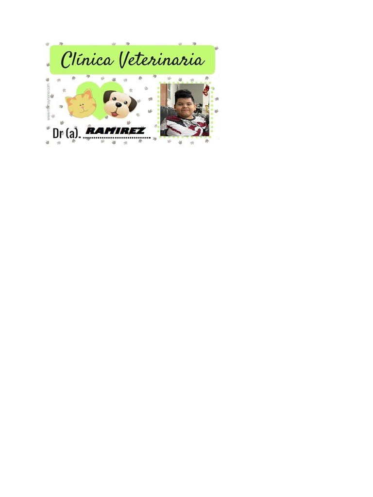 Carnt | PDF