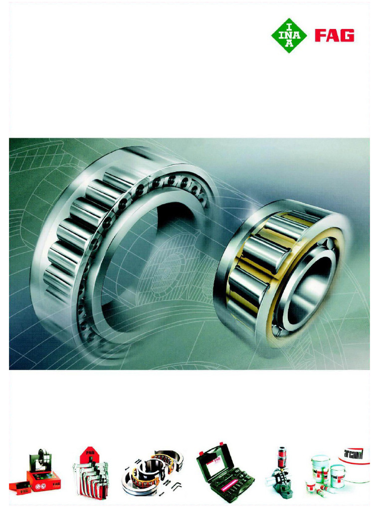 FAG Check | PDF