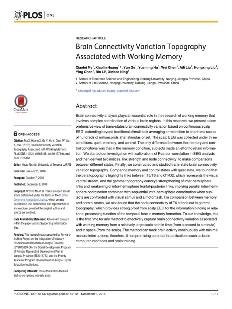 Brain Connectivity Variation T | PDF