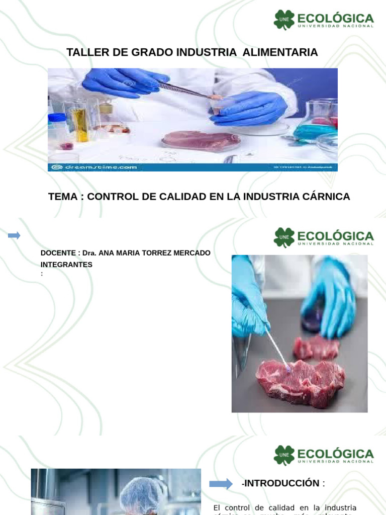 Control de Calidad en la Industria Cárnica | PDF | Carne | Calidad ...