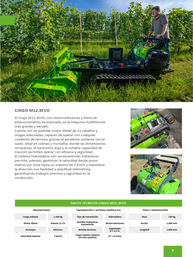 Cingo 12.3 | PDF