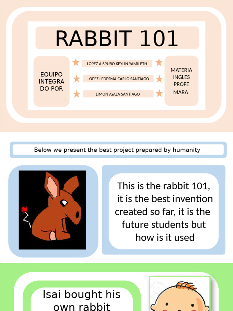 Nueva Proyecto Rabbit | PDF