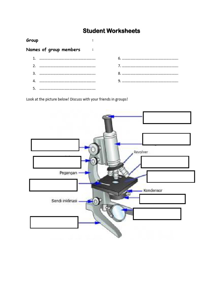 Student Worksheets Pdf