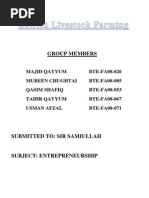 Feasibility Study of Ostrich Farming in Pakistan