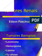 Tumores Urológicos