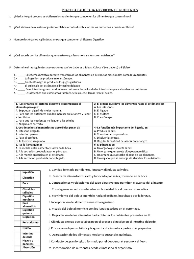 Practica Calificada Absorcion de Nutrientes | PDF