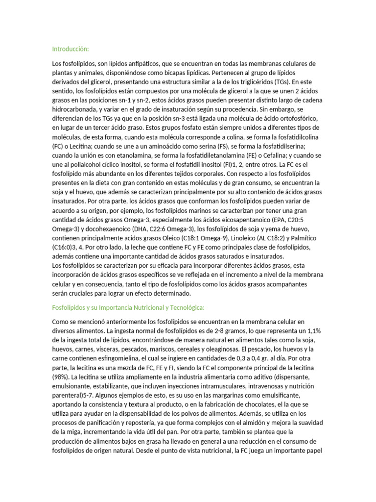 Texto One | PDF