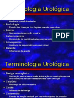 Terminologia Urológica