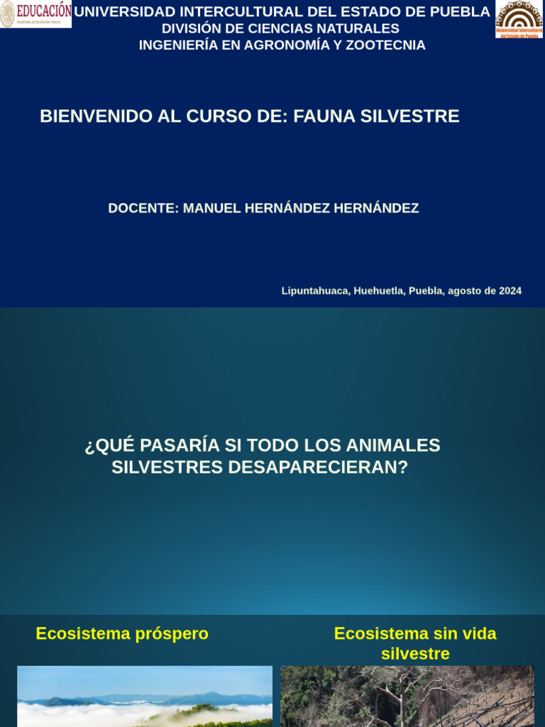 Fauna Silvestre | PDF