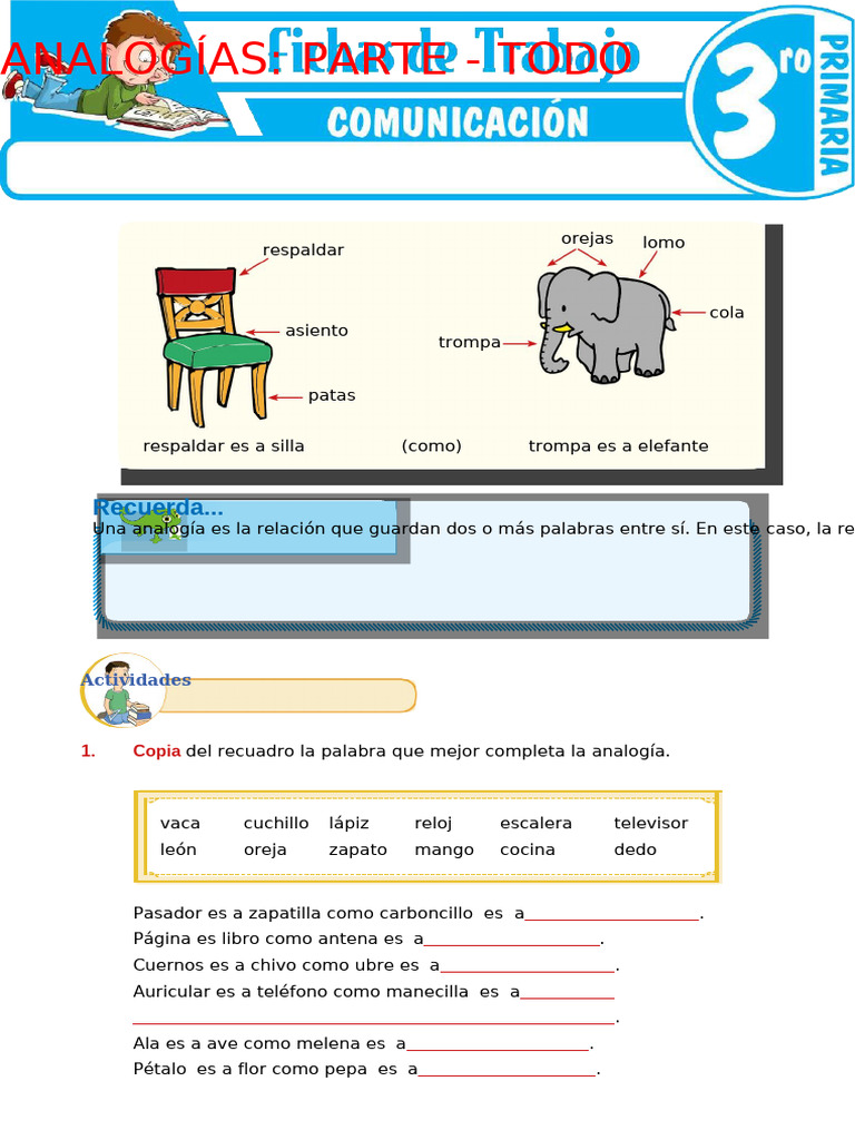 Analogías Parte Todo para Tecer Grado de Primaria | PDF