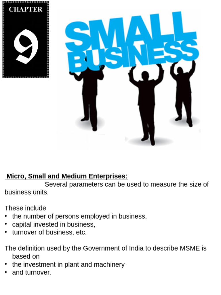 11 Bs Chapter-8 Small Business | PDF