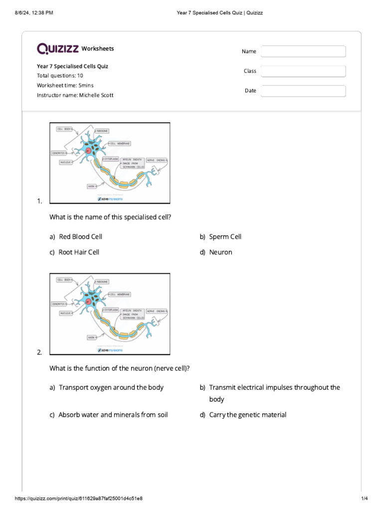 Year 7 Specialised Cells Quiz Quizizz Pdf