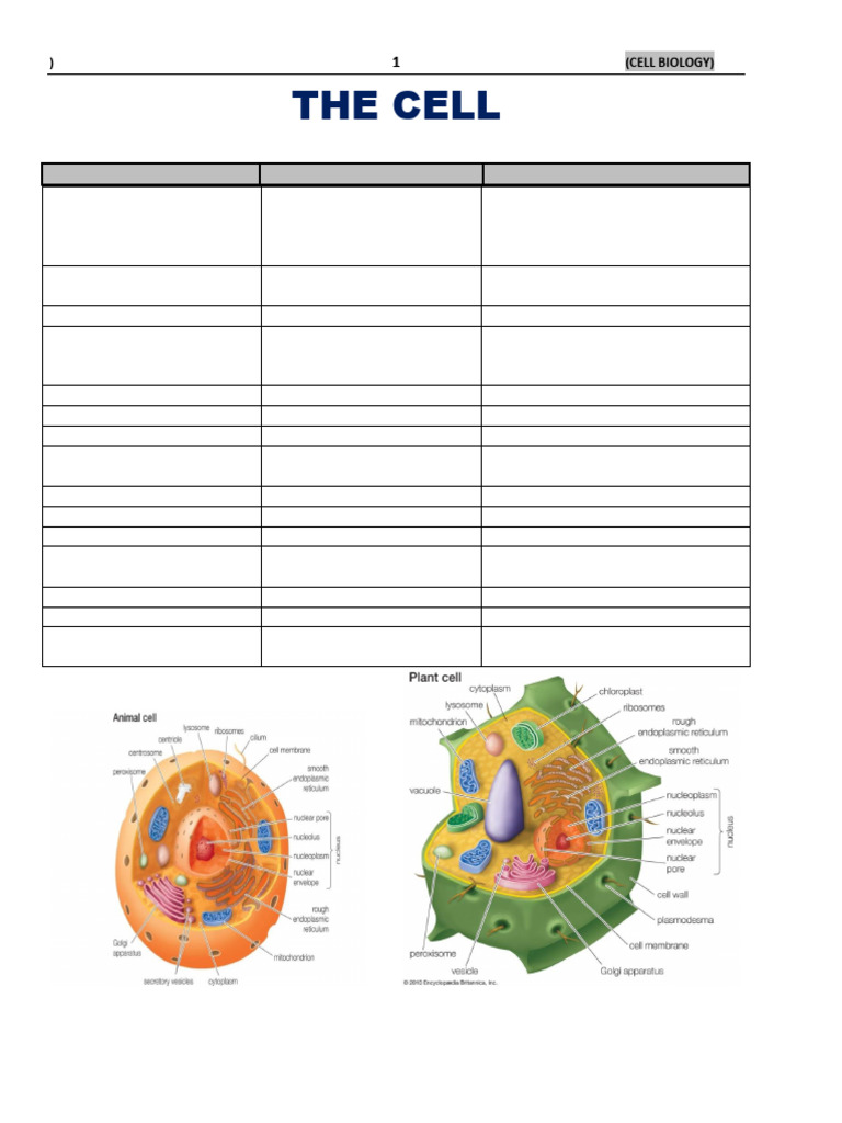 Cell Biology Pdf Cell Biology Social Science