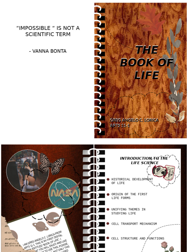 Book of Life | PDF