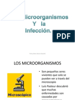 Los microorganismos y la infecci¢n semana 3