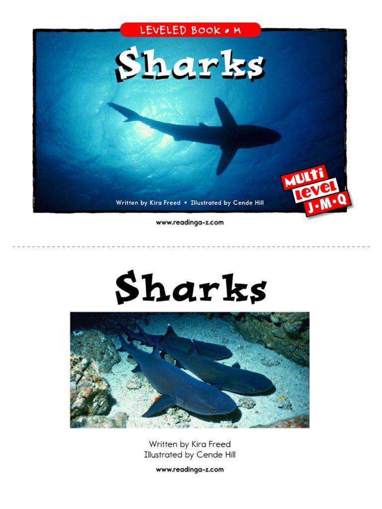 Sharks | PDF