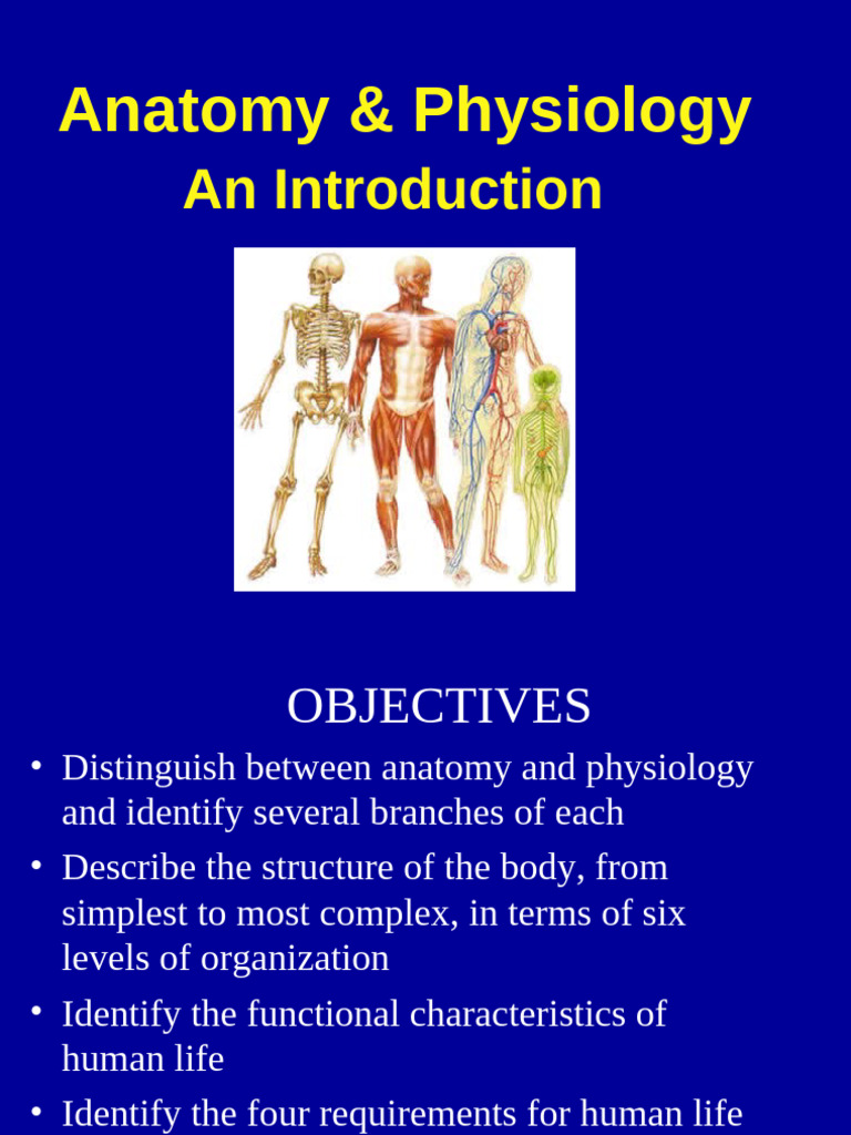 Anatomy Physiology Intro Powerpoint Chapter 1 Pdf