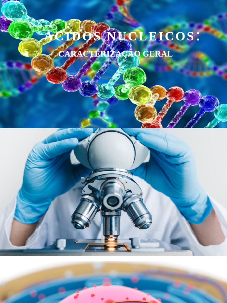 Cidos Nucleicos - Bioqumica Modificado | PDF